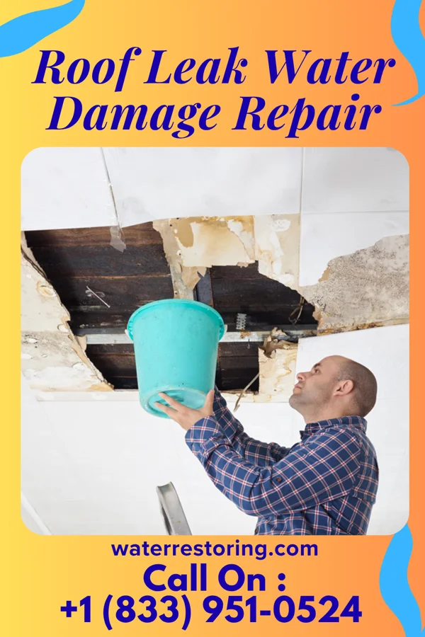 Roof Leak Water Damage Repair in Cross Hill, SC