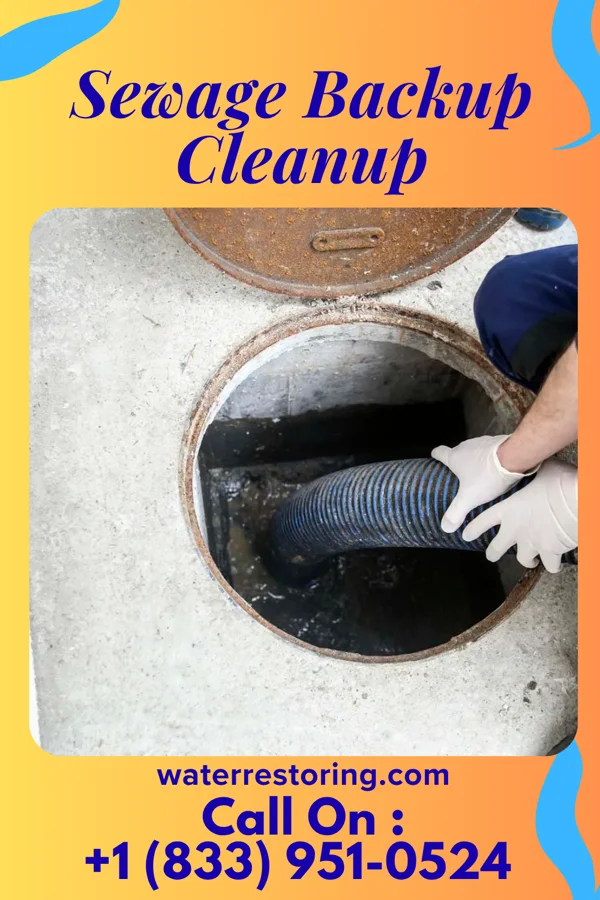 Sewage Backup Cleanup in Cross Hill, SC