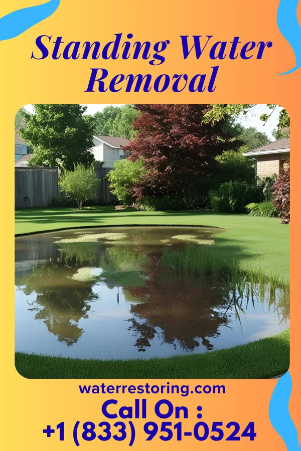 Standing Water Removal in Cross Hill, SC